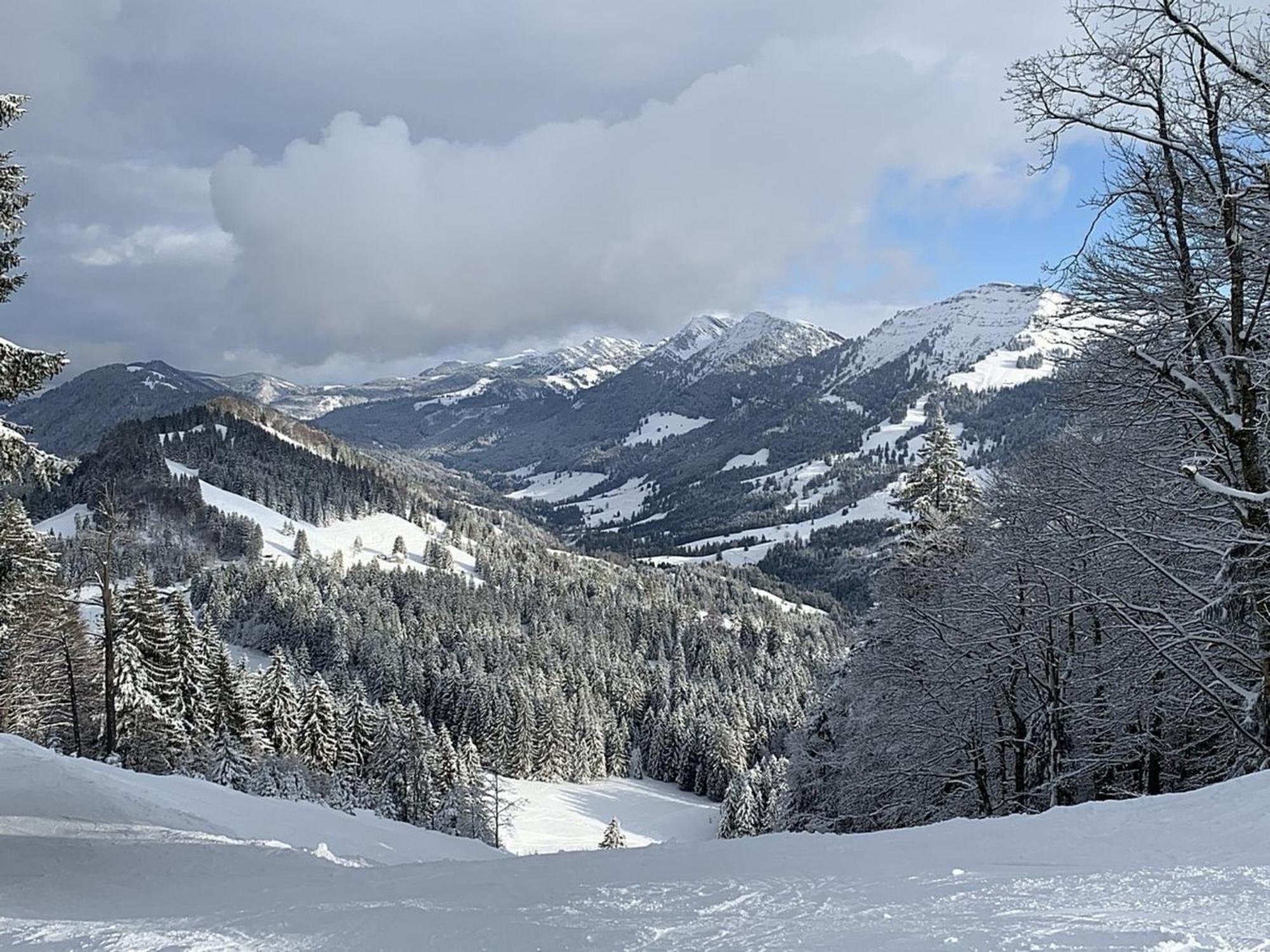 Appartement Nr 19, Alpenappartementhaus, Oberstaufen-Steibis, Allgaeu, Oberstaufen Plus Exterior foto